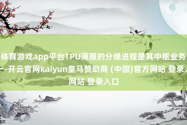 体育游戏app平台TPU薄膜的分娩进程是其中枢业务之一-开云官网kaiyun皇马赞助商 (中国)官方网站 登录入口