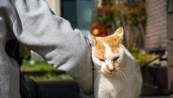 云开体育并予以他们更多的矜恤和跟随-开云官网kaiyun皇马赞助商 (中国)官方网站 登录入口